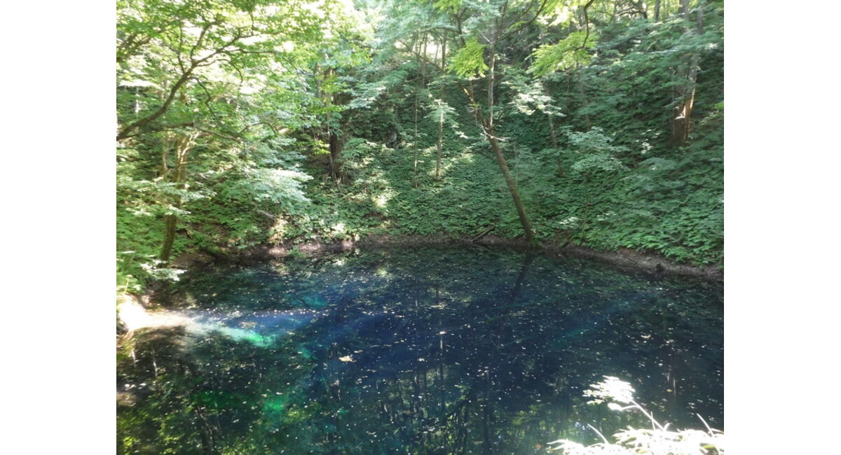青池