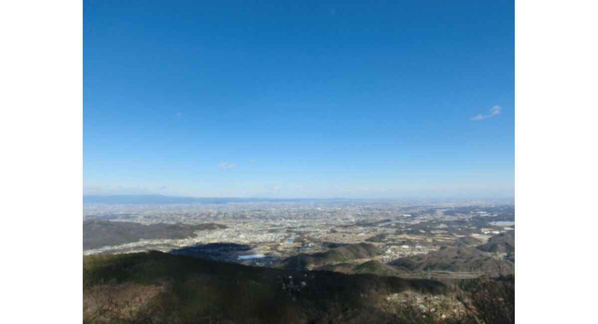 冬